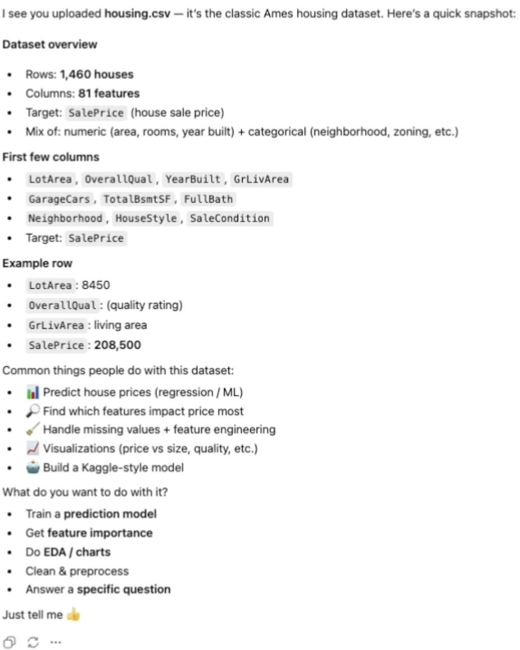 ChatGPT after upload — a dataset summary, example columns, and a menu asking what you want to do