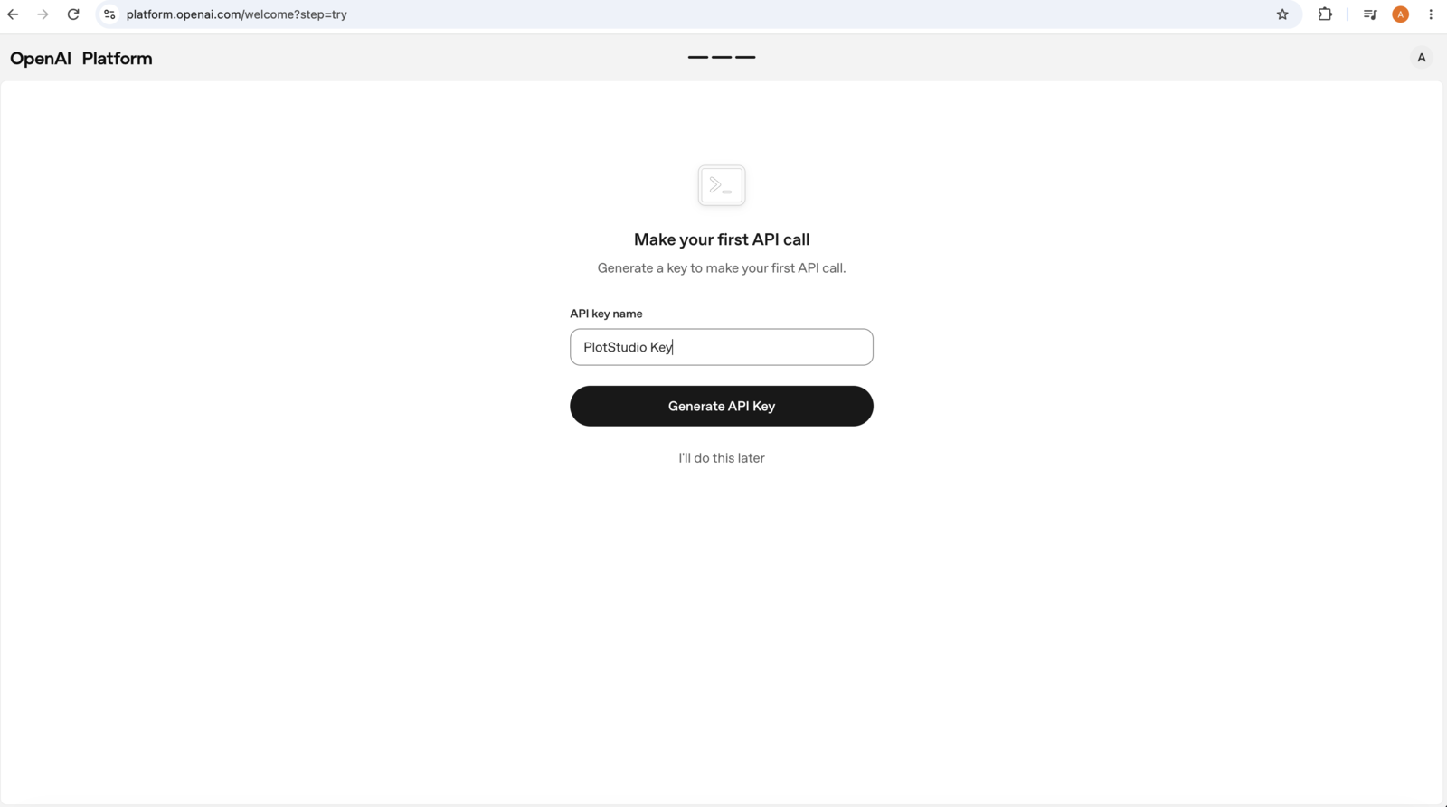 The Make your first API call screen with the API key name PlotStudio Key entered